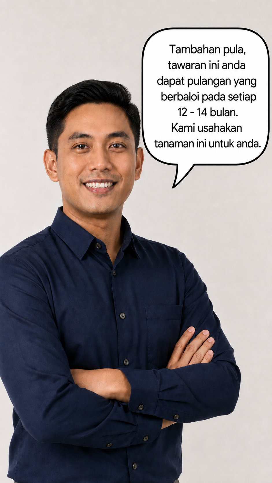 Penerangan pulangan setiap 12-14 bulan dari tanaman Nanas MD2